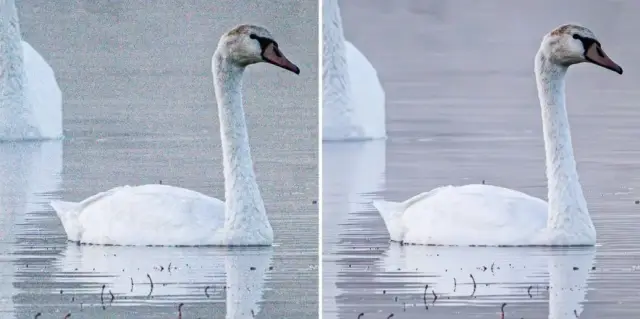 AI-Powered Denoise Tool Headlines Adobe Lightroom's Substantial Update