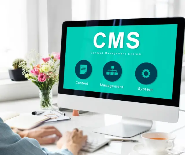 Create Custom CMS Platforms in 2024