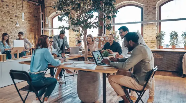 The Growing Role of No-Code and Low-Code Tools in Professional Software Development