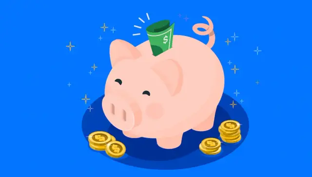 How Much Does a Software Developer Earn? Comparison of Paychecks