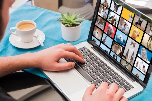 Generative AI Image Creator Unveiled By Getty Images