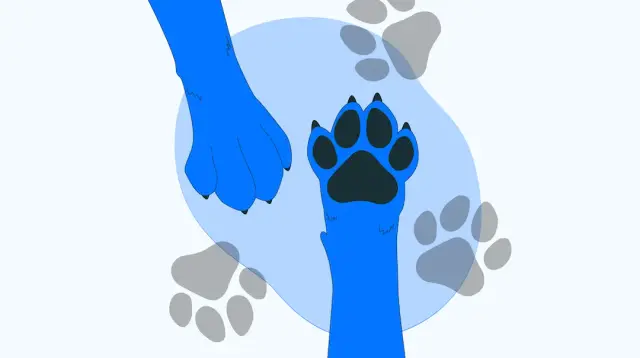 How to Make Dog Walk Apps with a No-Code App Builder