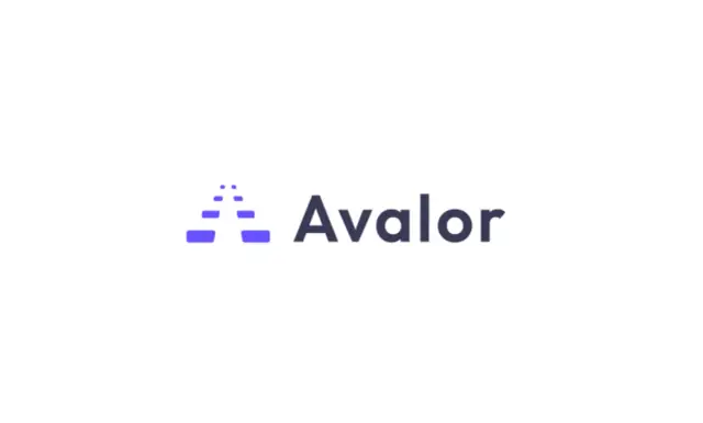 Avalor Raises $25 Million to Unify Cybersecurity Data and Streamline Businesses' Security