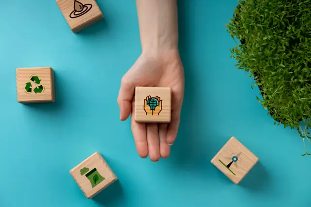 Understanding the Role of ERP in Sustainability and Green Initiatives